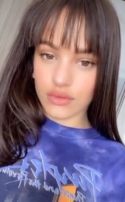 Rosalia, At-Home Hair Transformations